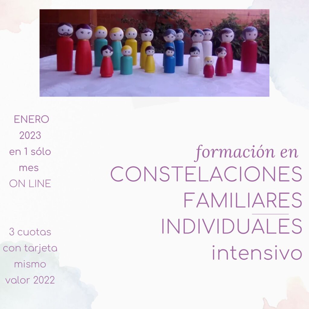 Formaci N En Constelaciones Familiares Individuales Intensivo Amerita