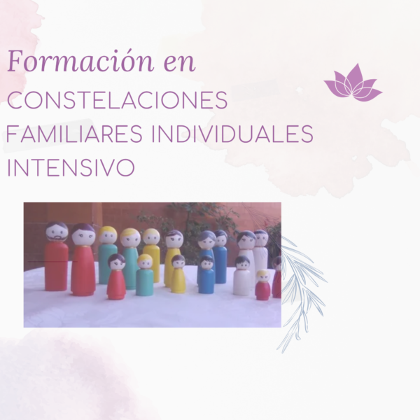 FORMACIÓN EN CONSTELACIONES FAMILIARES INDIVIDUALES INTENSIVO