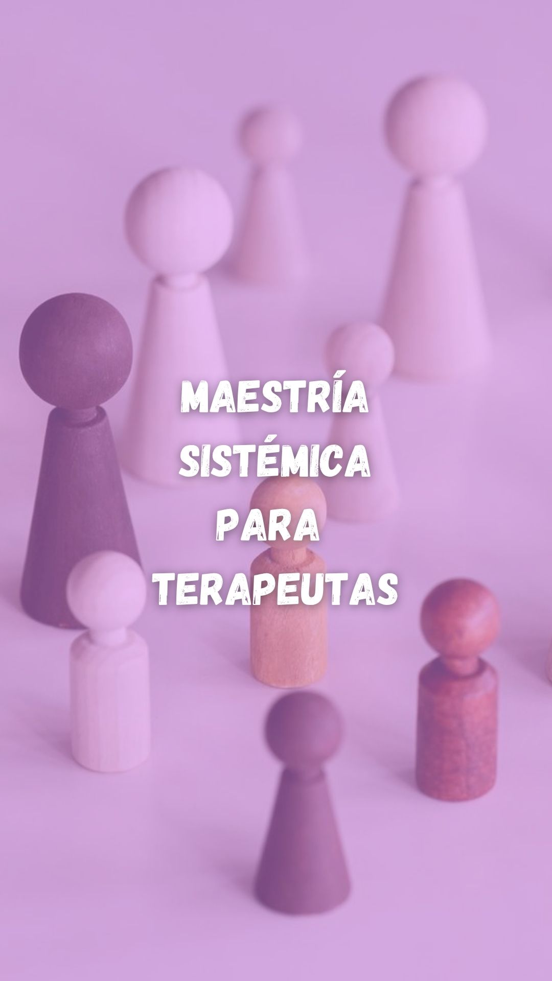 MAESTRÍA SISTÉMICA para TERAPEUTAS